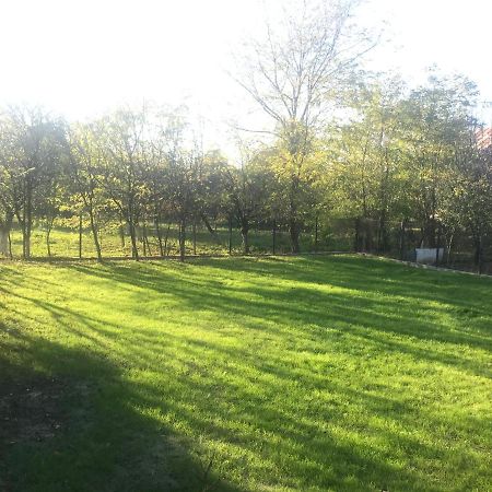 Green Nest Băneşti エクステリア 写真