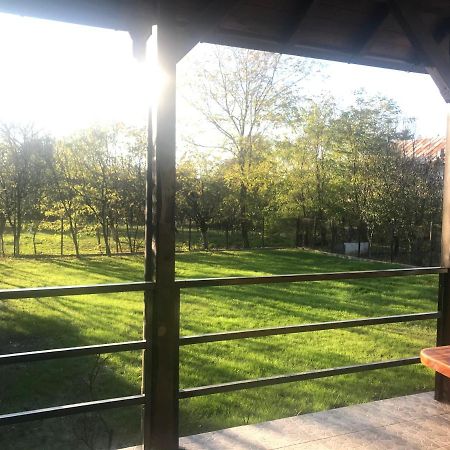 Green Nest Băneşti エクステリア 写真