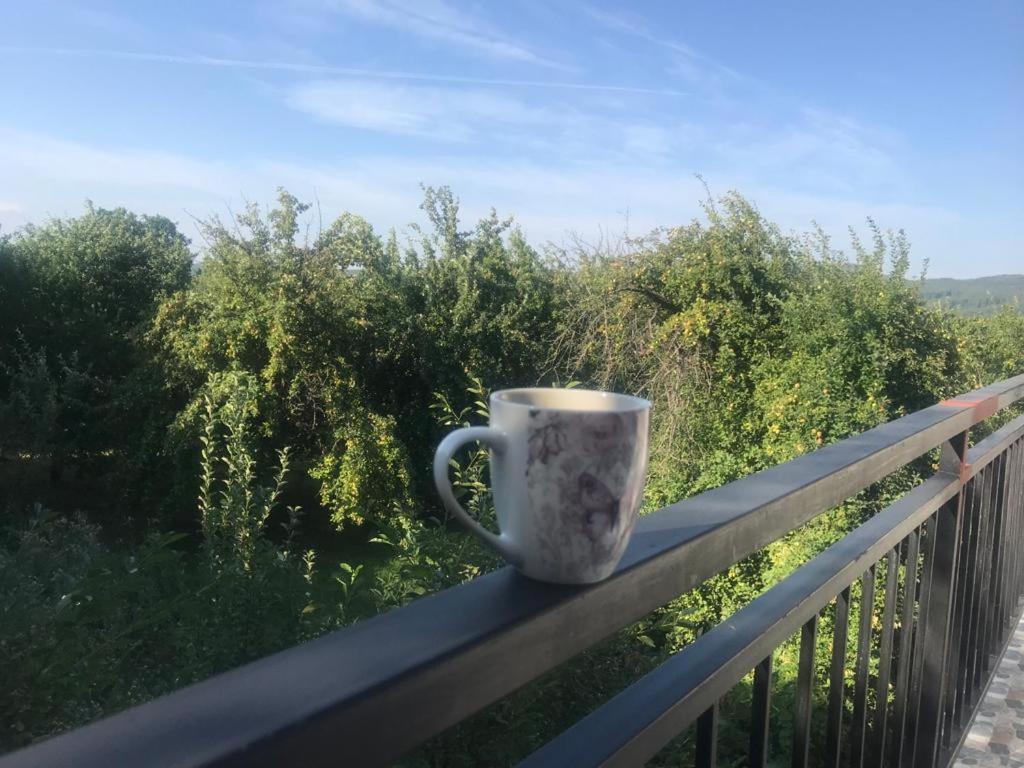 Green Nest Băneşti エクステリア 写真