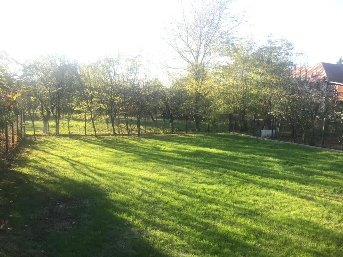 Green Nest Băneşti エクステリア 写真