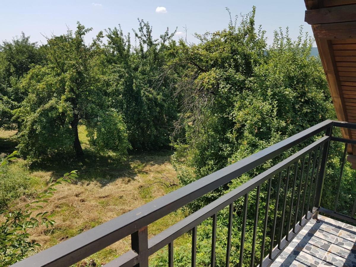 Green Nest Băneşti エクステリア 写真