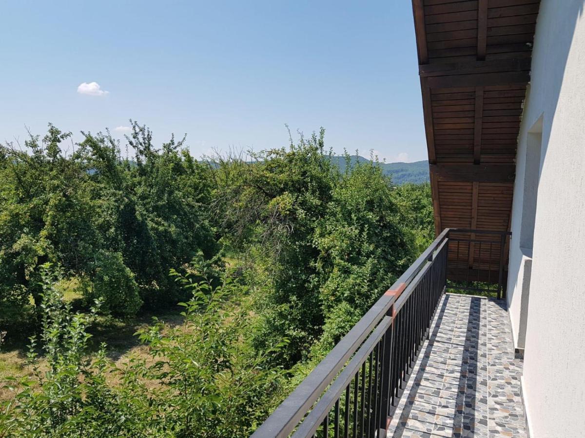 Green Nest Băneşti エクステリア 写真